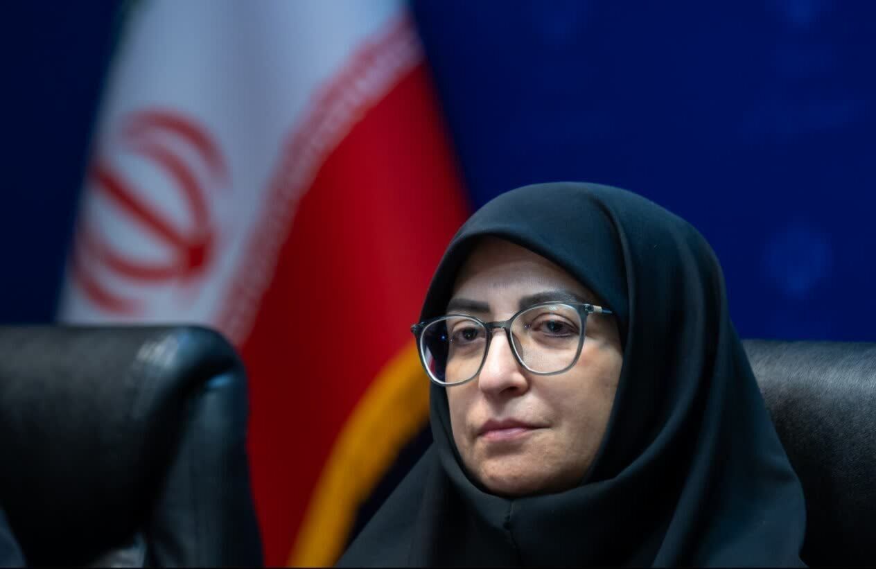 انصاری: تخصیص عوارض آلایندگی به صندوق محیط زیست پیگیری میشود