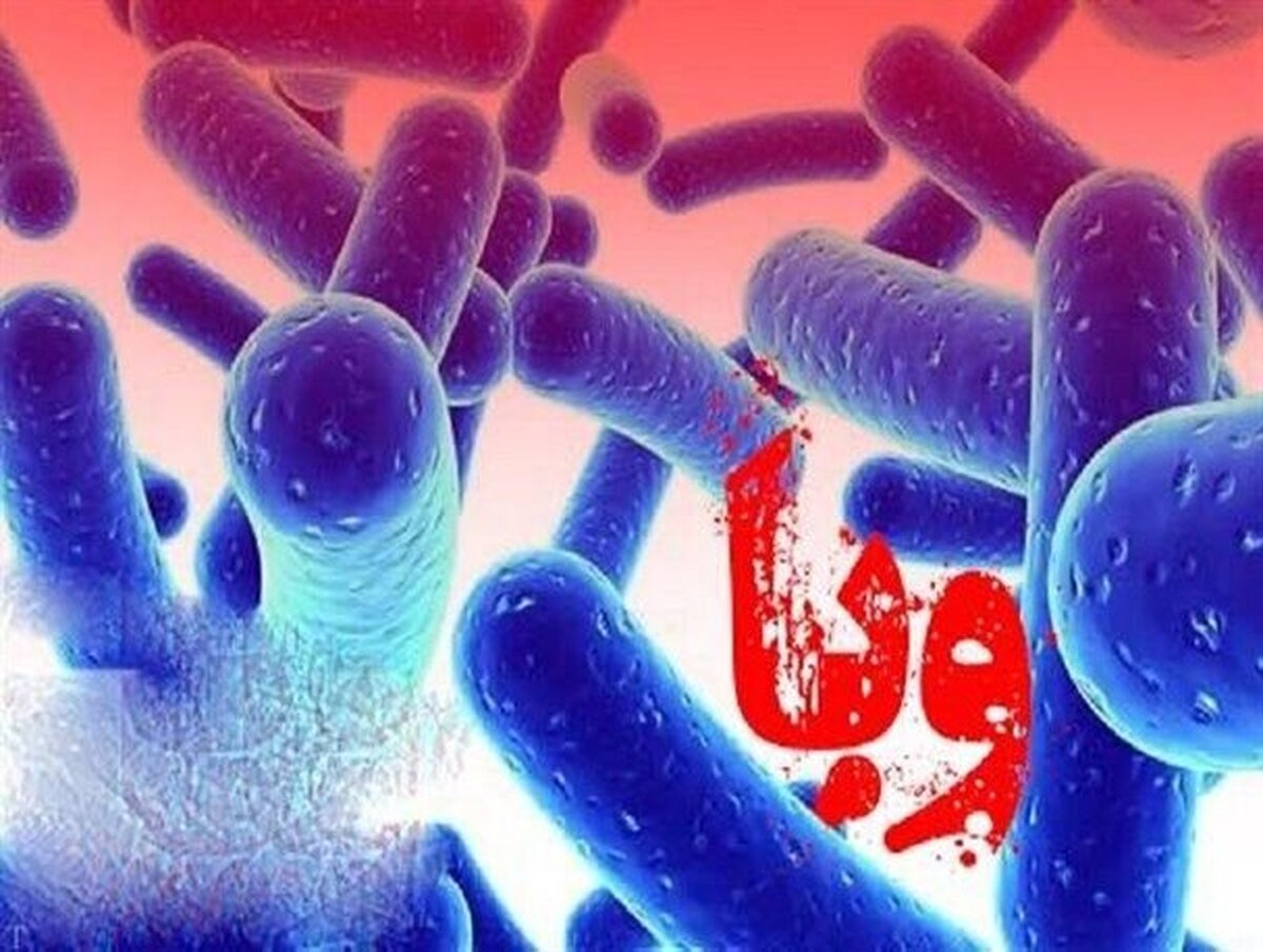 مراقب باشید به وبا دچار نشوید