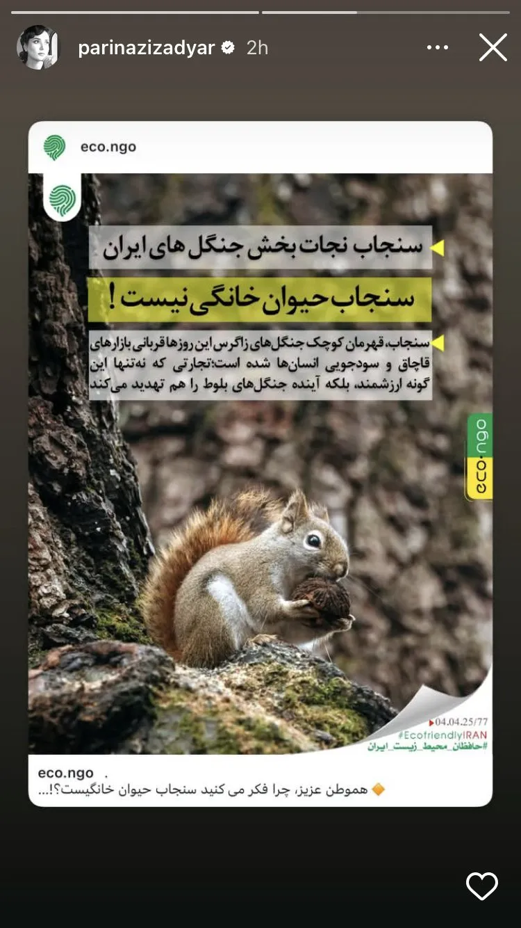 عکس/استوری هشدار جدی پریناز ایزدیار