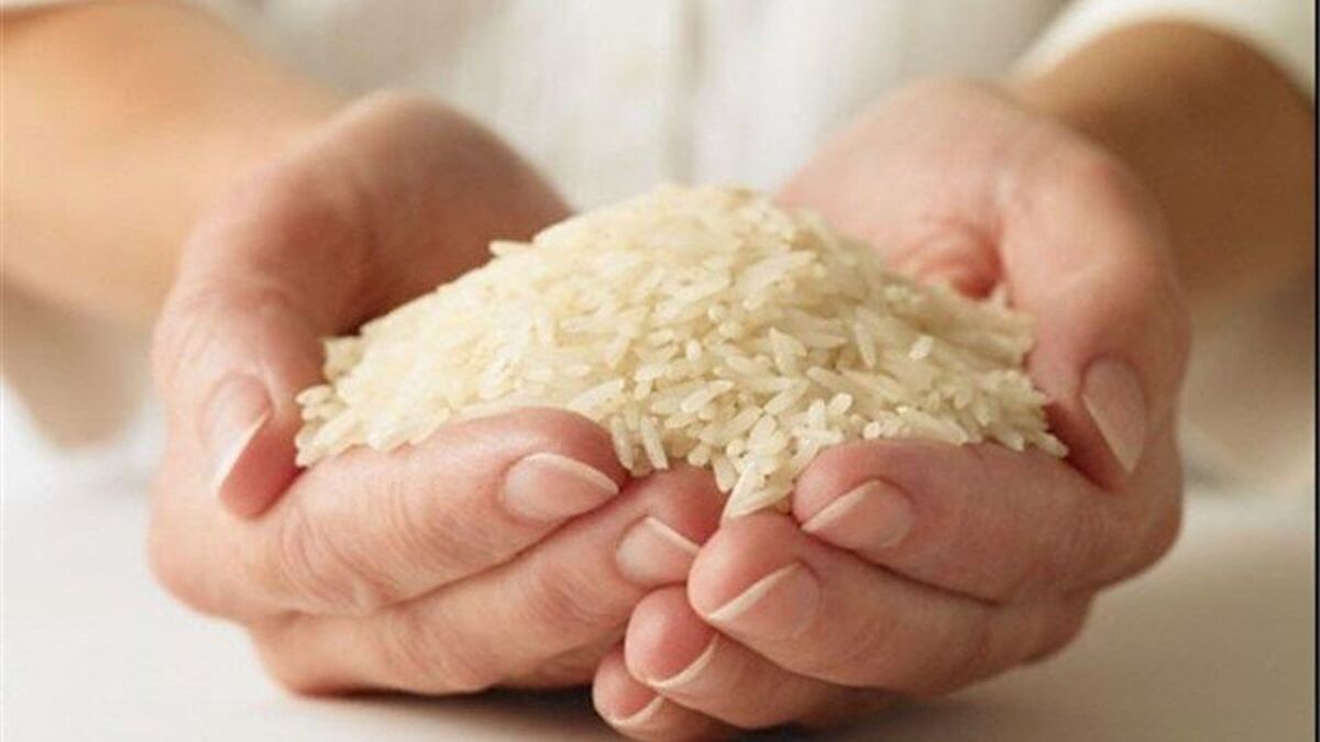 قیمت برنج ایرانی کاهشی شد