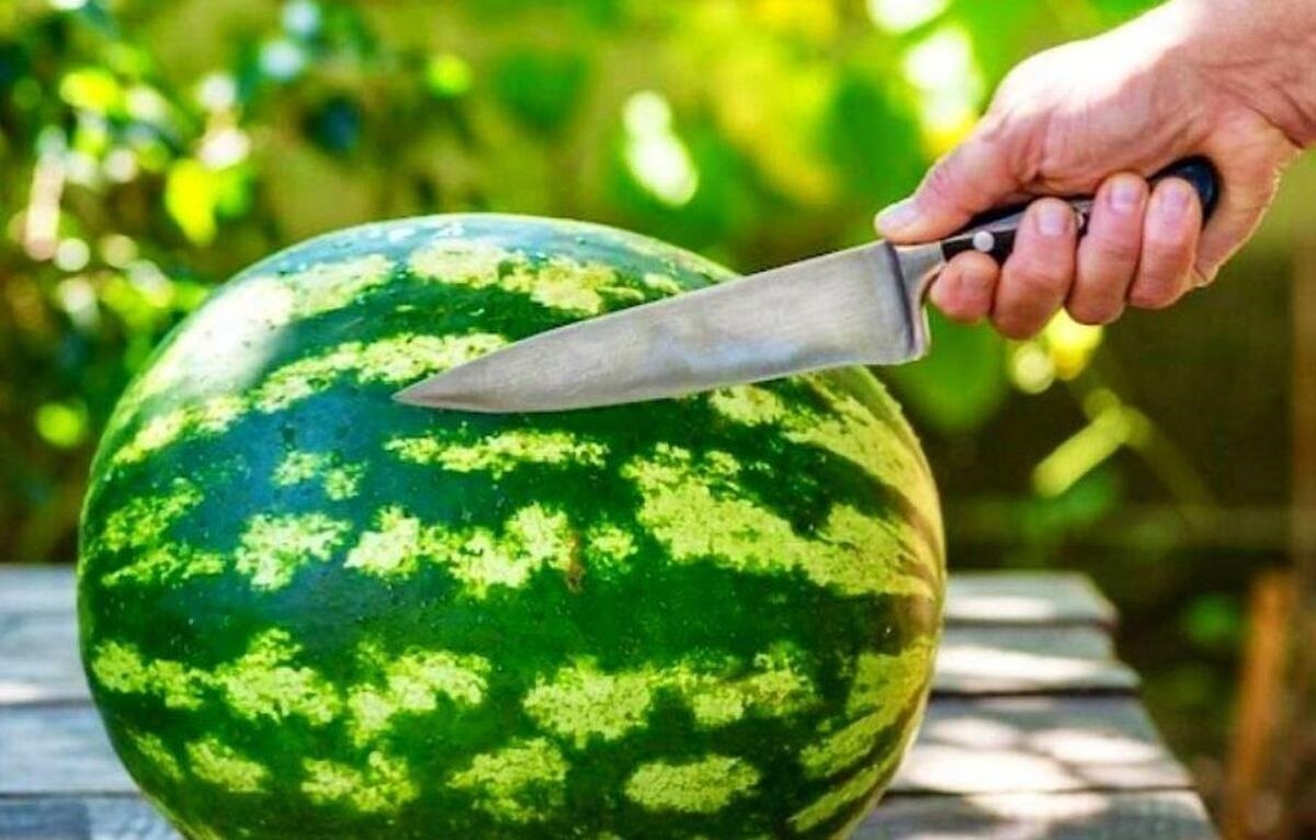 کار خطرناکی که بیشتر مردم با هندوانه انجام می‌دهند!