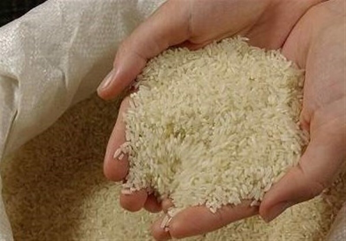 وعده کاهش قیمت نجونی برنج تا دو هفته آینده