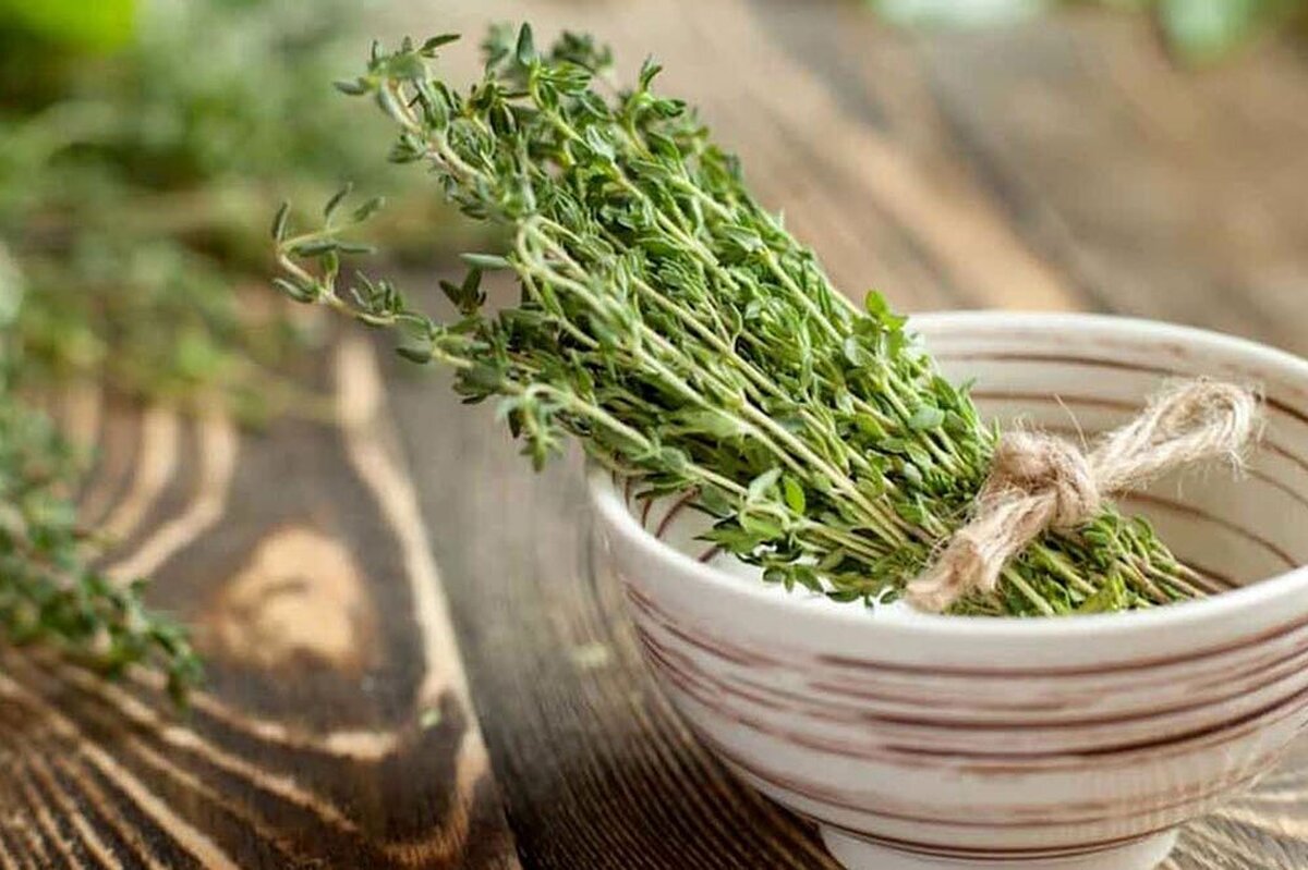 خواص بخور برگ آویشن برای تقویت سیستم تنفسی