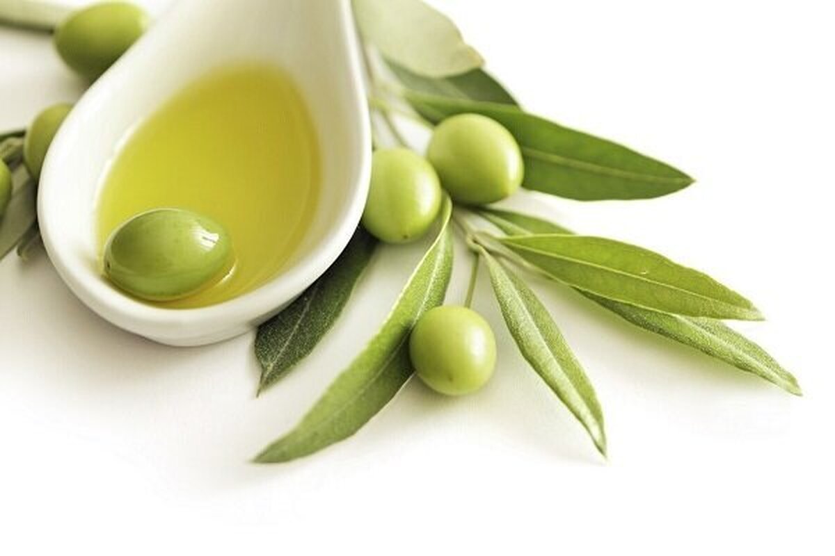 روغن زیتون در صبحانه؛ راز کاهش التهاب و بهبود عملکرد مغز