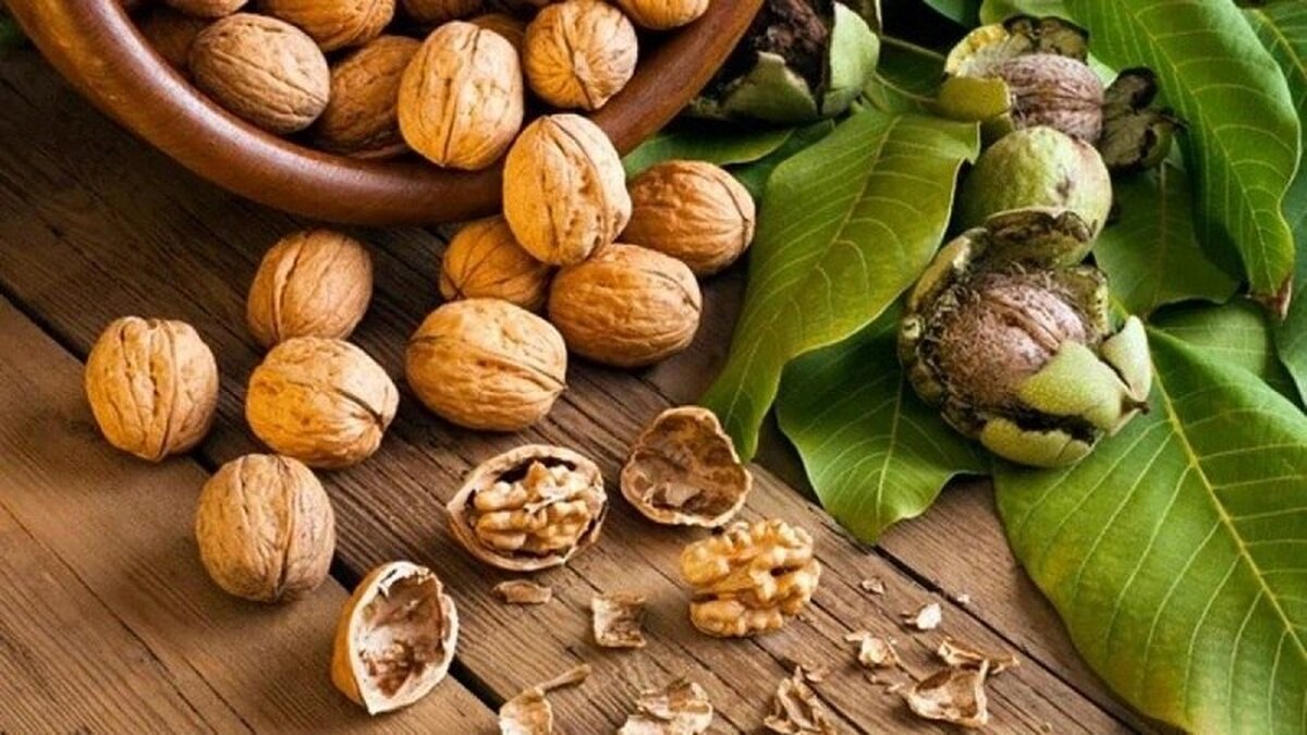 کاهش چشمگیر خطر ابتلا به آلزایمر با مصرف منظم گردو