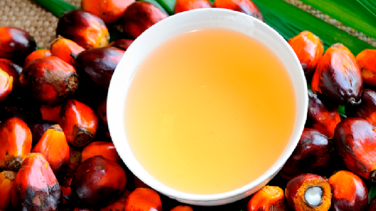 آیا روغن پالم بر سطح کلسترول تأثیر می‌گذارد؟