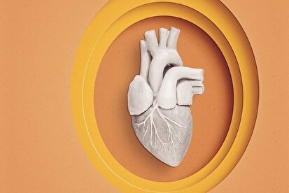 پیوند قلب مرده به یک نوزاد
