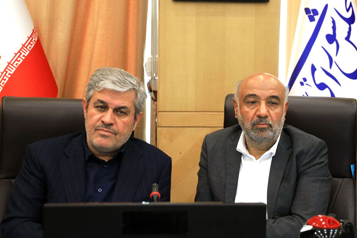 وزیر کار: درآمد حاصل از حذف یارانه ثروتمندان بین دهکهای پایین توزیع میشود