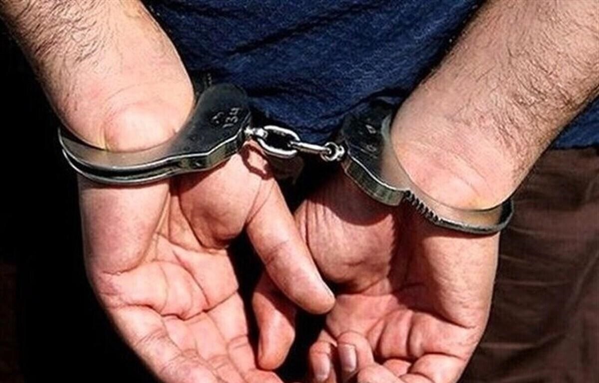 زوج سارق حرفه‌ای دستگیر شدند