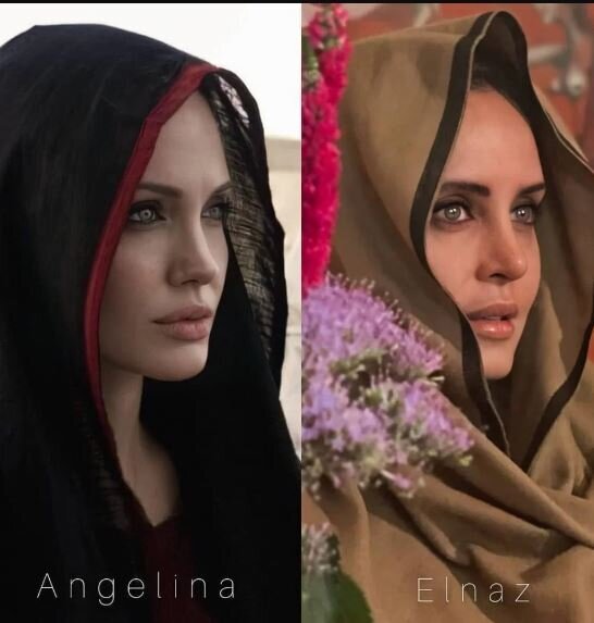 عکس/شباهت الناز شاکردوست برای به آنجلینا جولی