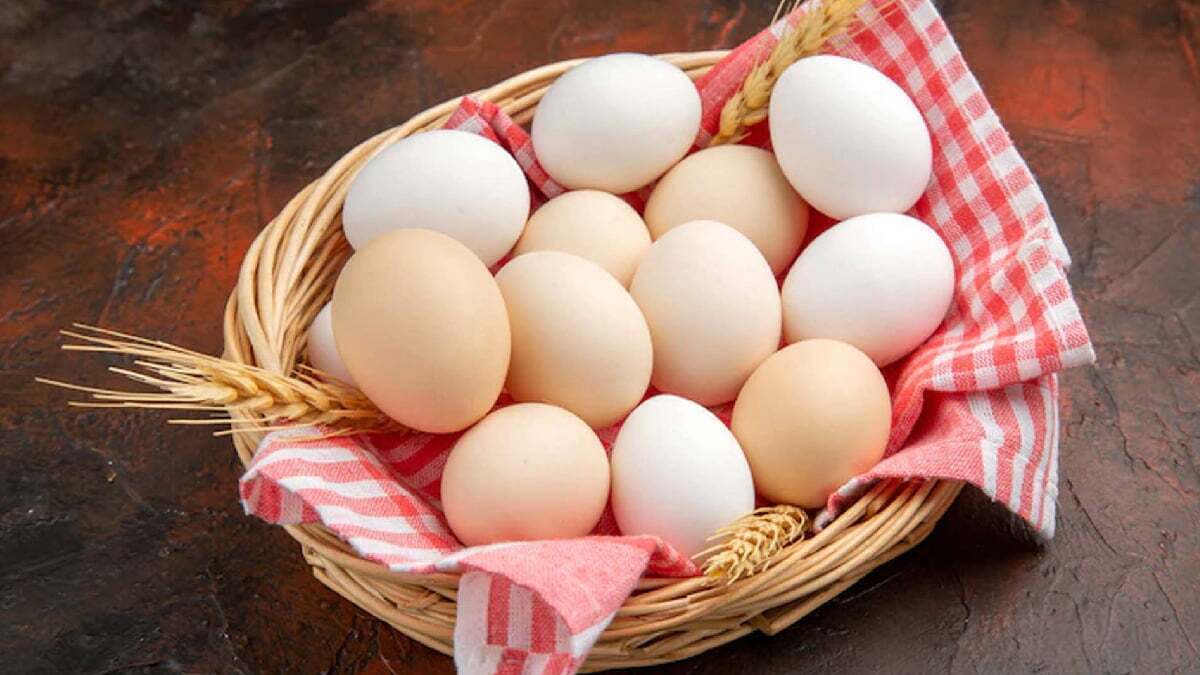 آیا مصرف زرده تخم مرغ در کهنسالی مضر است؟
