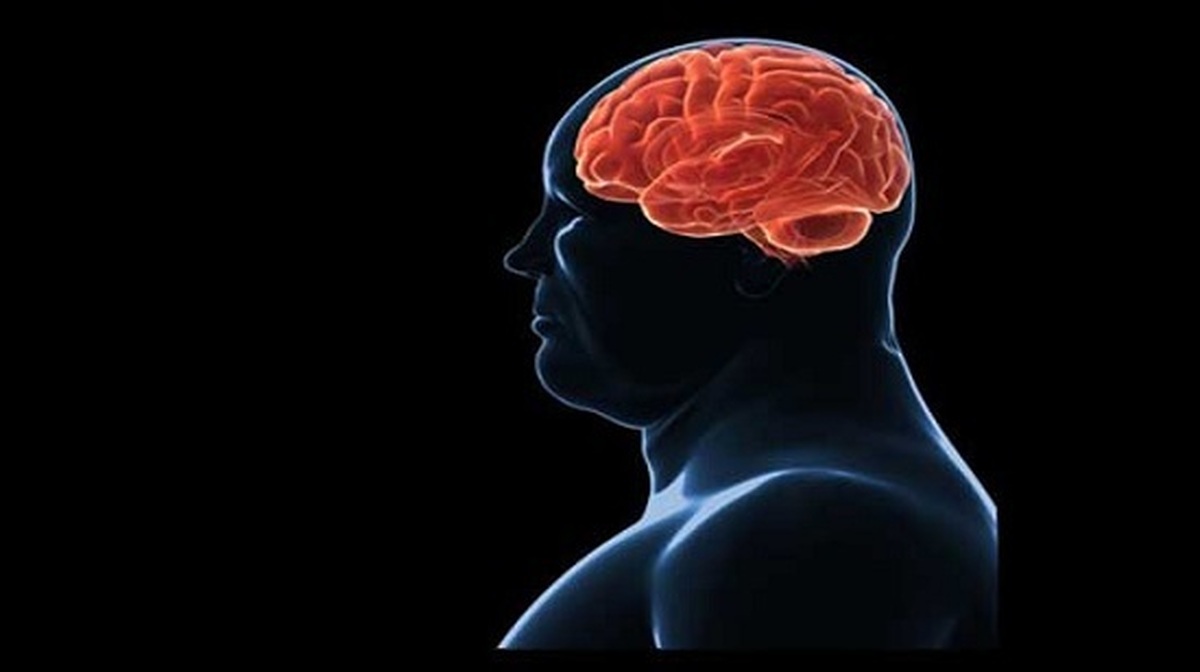 تاثیر چاقی بر عملکرد مغز