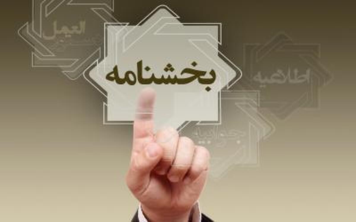 امکان وثیقه گذاری ۳۵ نوع دارایی فراهم می‌شود