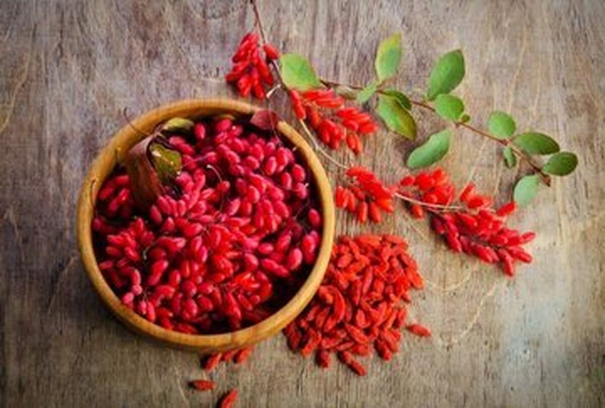 خواص مصرف روزانه زرشک که باورکردنی نیست