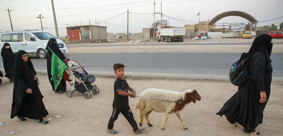 تصاویر/ آغاز پیاده روی سحرگاهی زائران اربعین حسینی - شافعیه عراق