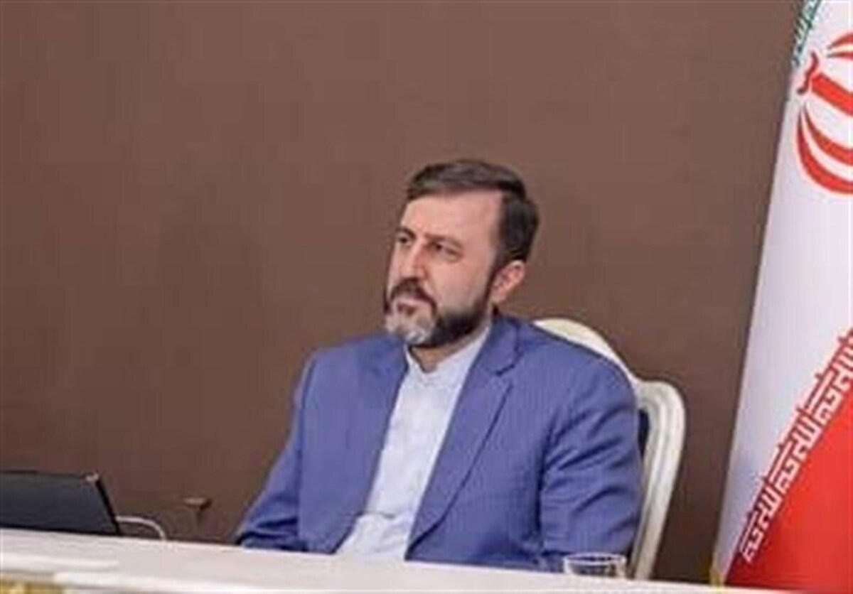 غریب‌آبادی: با روسیه و چین هماهنگ هستیم