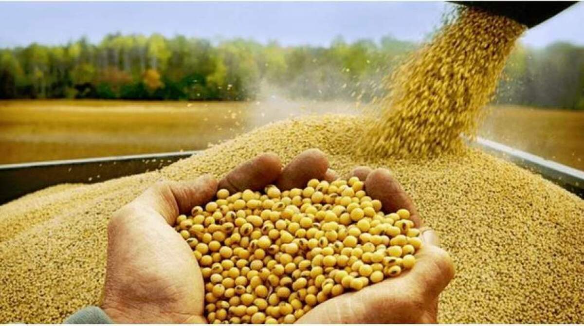 کاهش ذخایر استراتژیک نهاده‌های دامی پس از خروج اجباری شرکت‌های تهاتری از چرخه واردات