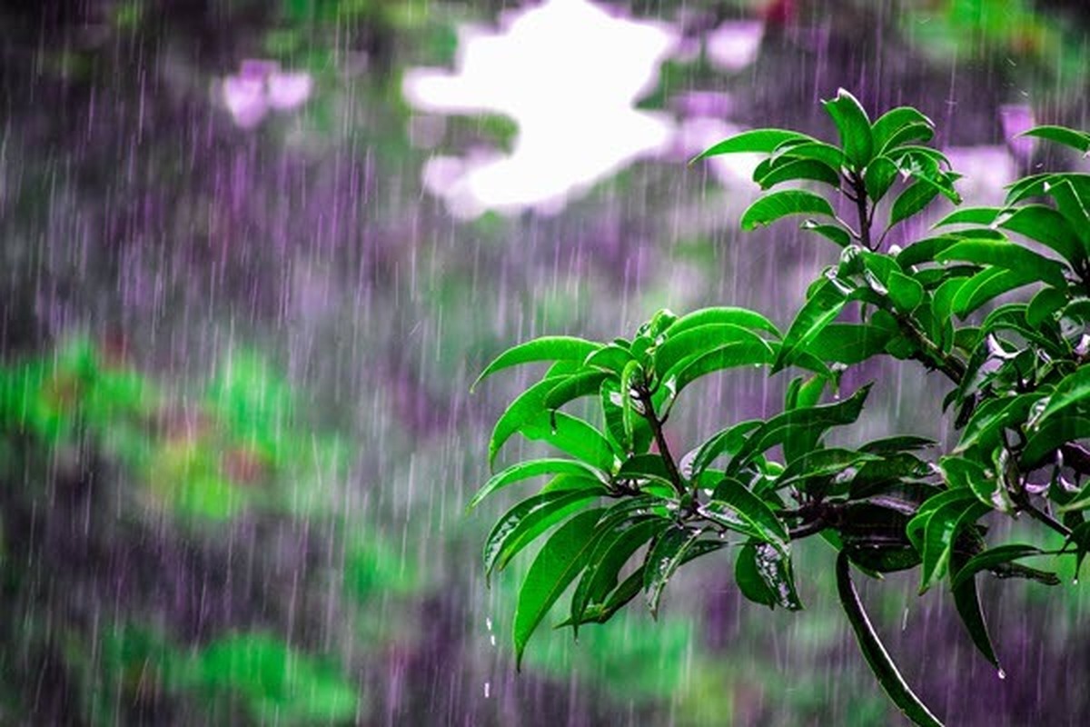 هواشناسی امروز ۱۴۰۴/۰۵/۲۳ / پیش بینی بارش باران در برخی استان‌ها