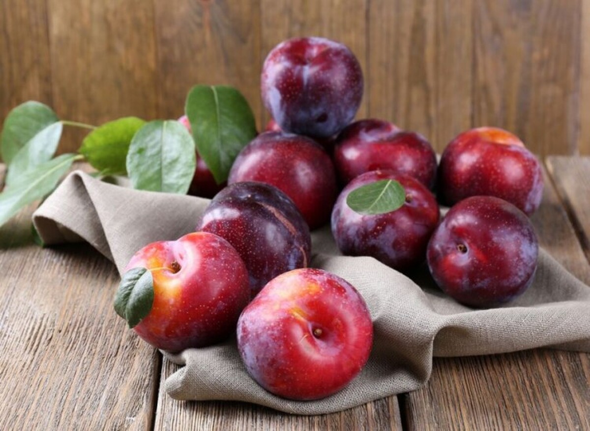 این میوه سیاه تابستانی خون شما را تمیز می‌کند