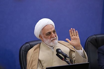 اژه‌ای: گاهاً همه مجرمان و زندانیان امنیتی را زندانی سیاسی می‌نامند و بعضاً عکس