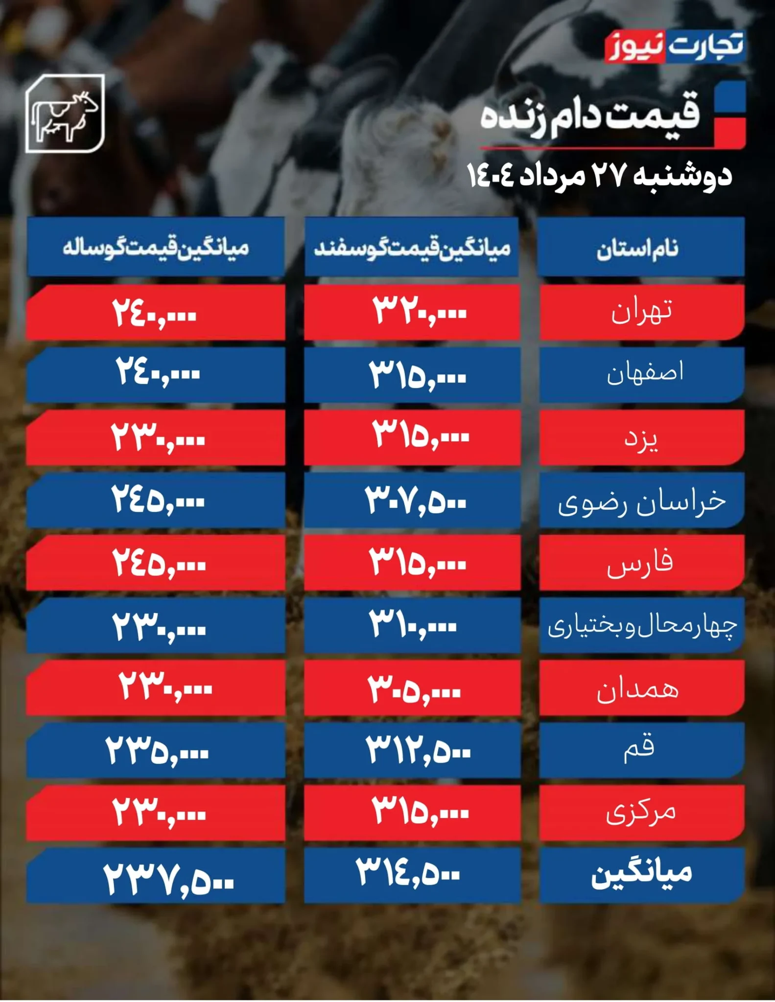 قیمت دام زنده امروز دوشنبه ۲۷ مرداد ۱۴۰۴+ جدول