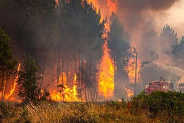 اطفای حریق 30 هکتار از عرصههای جنگلی گلوگاه