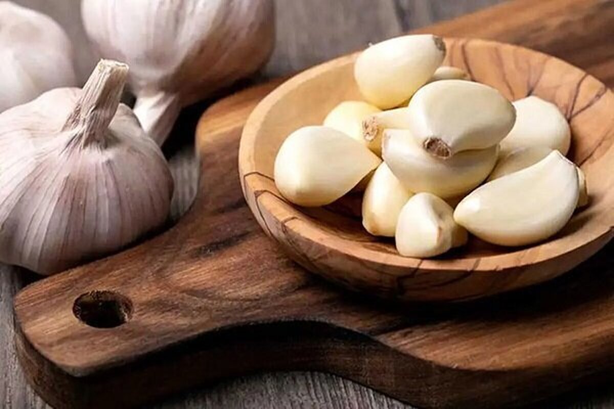 با این آنتی بیوتیک طبیعی سیستم ایمنی بدن خود را تقویت کنید