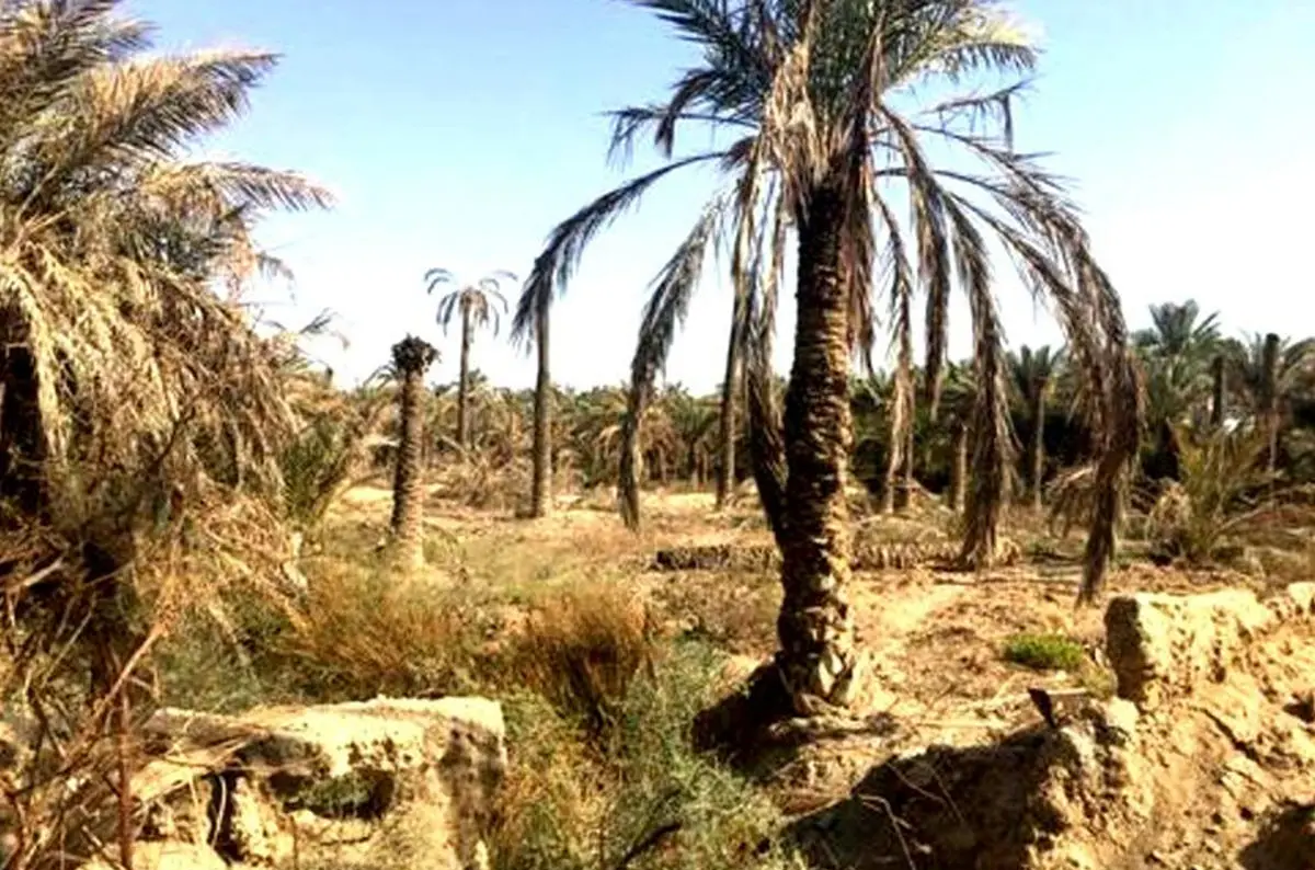 تجارت آب؛ تکرار متناوب بحران در خوزستان