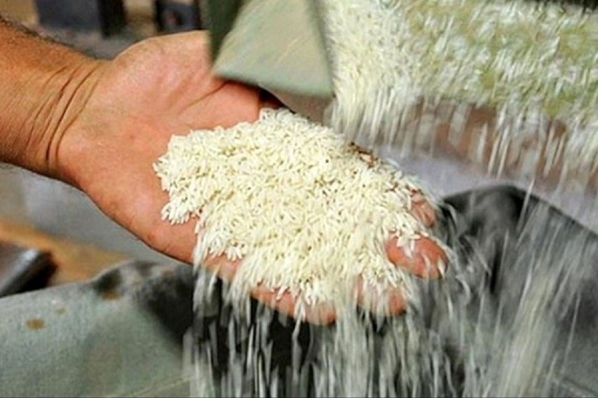 سفیر پاکستان: آماده‌ایم بازار برنج ایران را تأمین کنیم