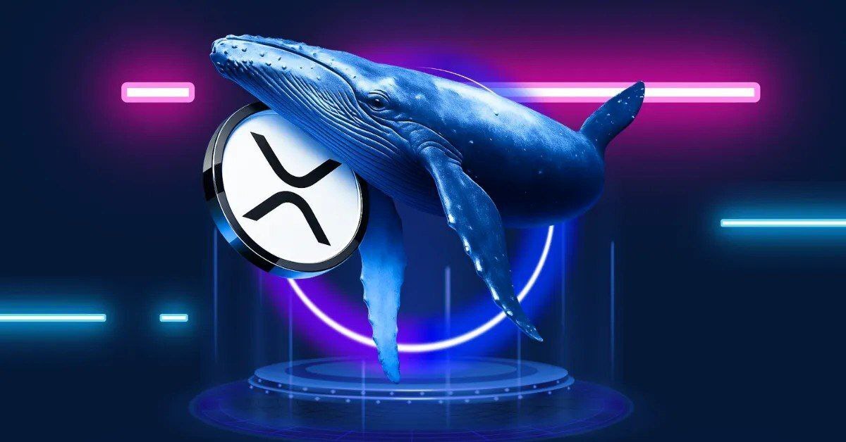 پیش‌بینی صعود XRP تا ۴ دلار | نهنگ‌ها دوباره وارد میدان شده‌اند!