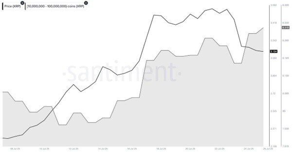 پیش‌بینی صعود XRP تا ۴ دلار | نهنگ‌ها دوباره وارد میدان شده‌اند!
