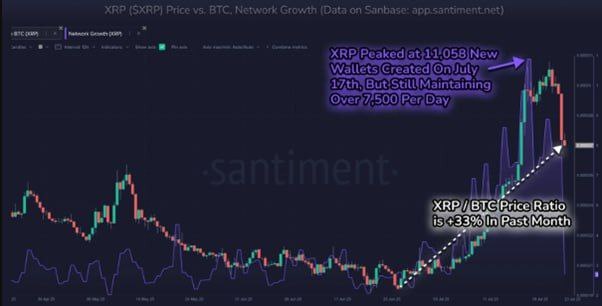 پیش‌بینی صعود XRP تا ۴ دلار | نهنگ‌ها دوباره وارد میدان شده‌اند!