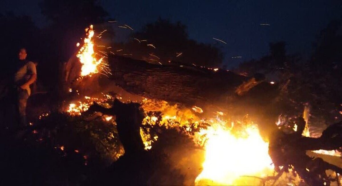 حادثه آتش سوزی در تهران؛ ۴ عضو خانواده جان باختند