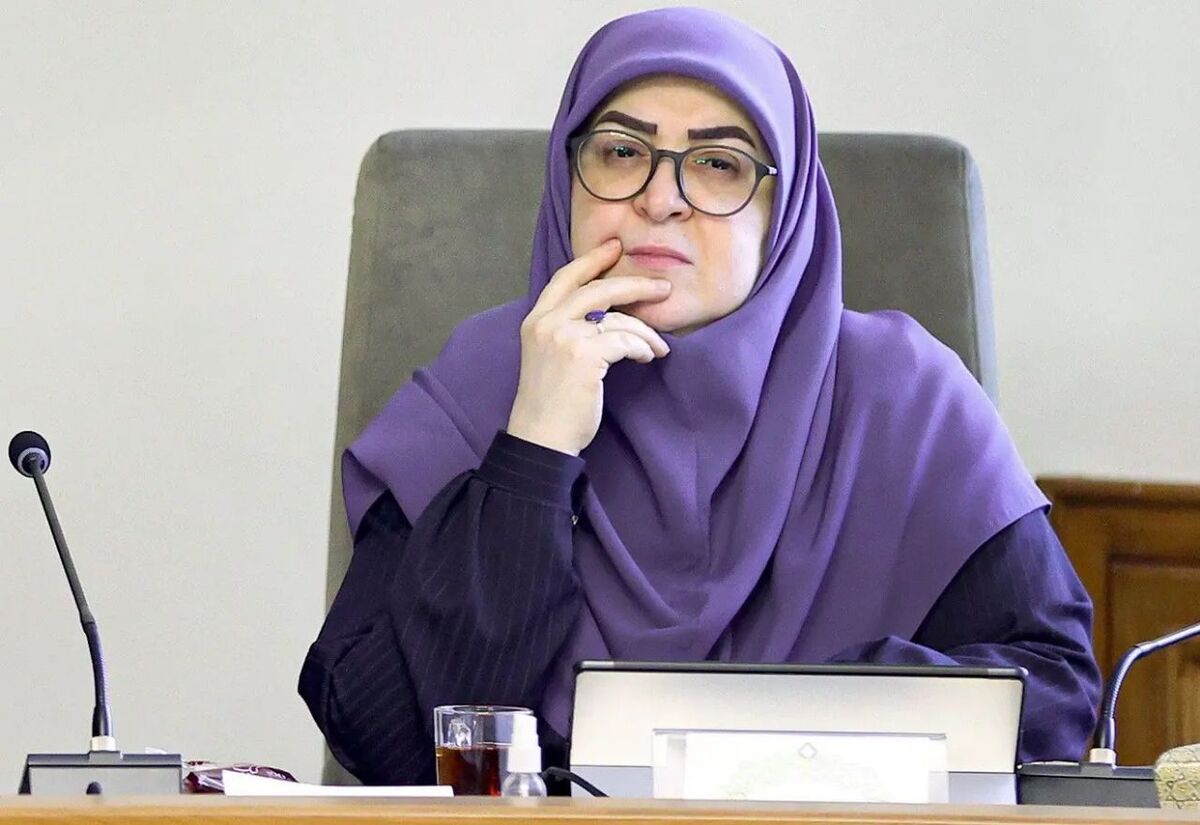 واکنش سخنگوی دولت به لغو کنسرت همایون شجریان