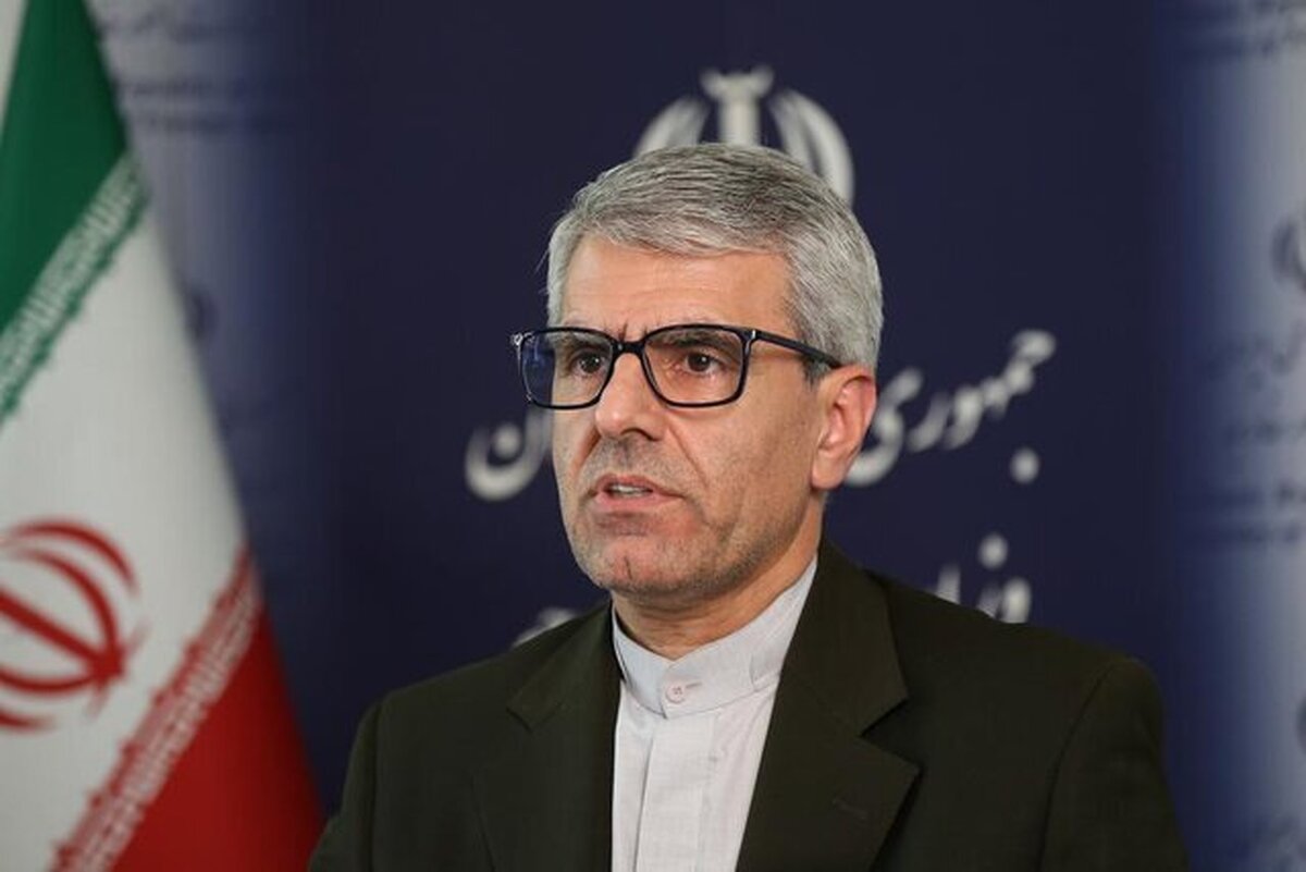 بقائی: پیگیری‌ها برای انتقال مهدیه اسفندیاری به مکانی خارج از زندان ادامه دارد