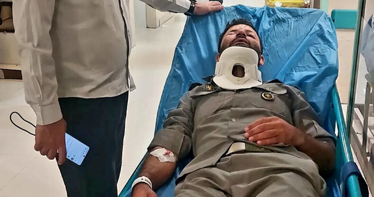 ضاربان محیط‌بان ورجین شمیرانات زندانی شدند