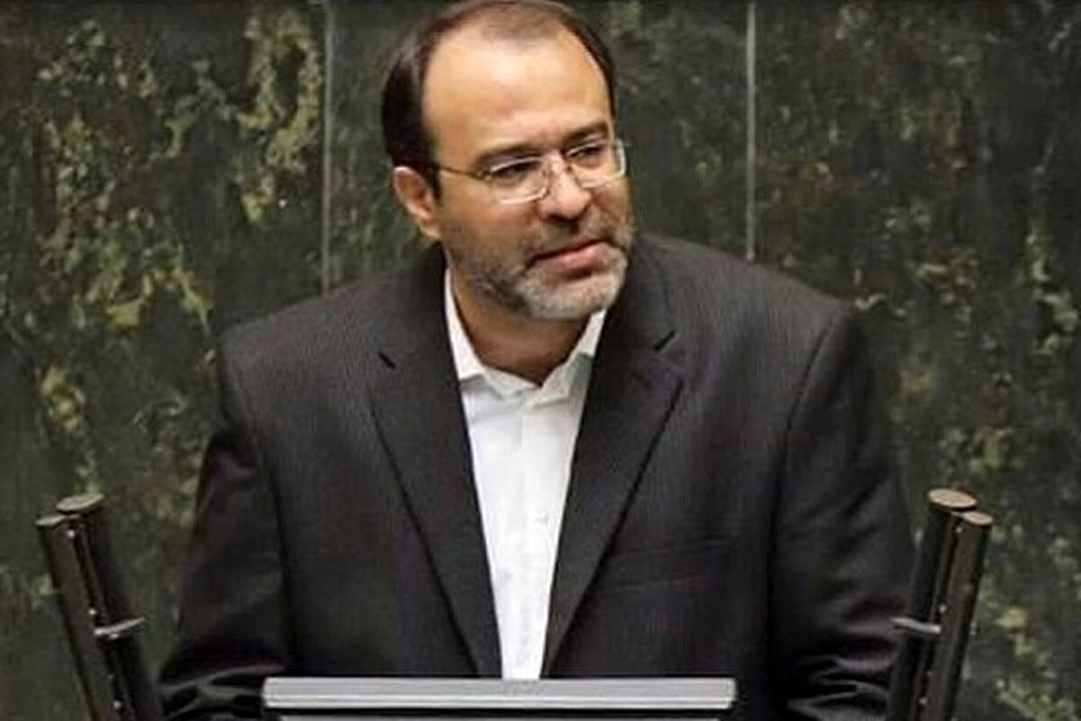 طغیانی: یارانه نقدی باید فقط به دهک‌های پایین جامعه اختصاص یابد