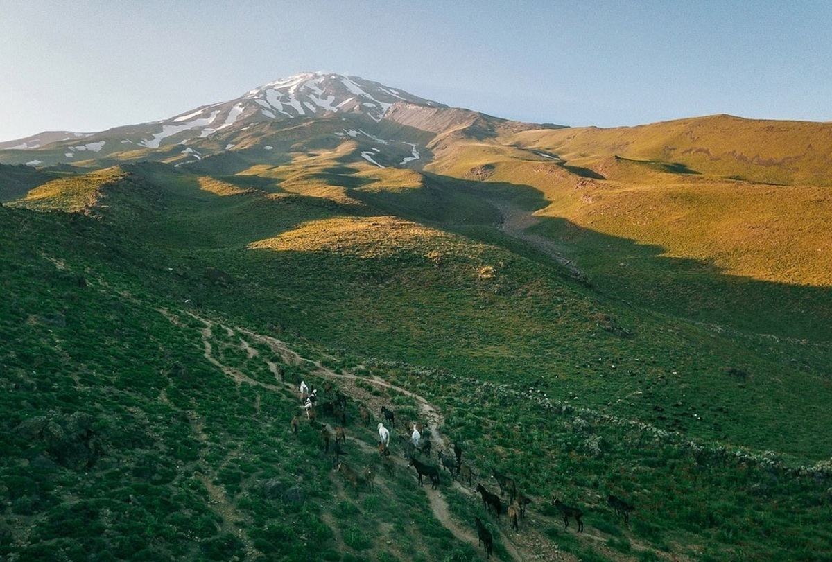 داستان عجیب واگذاری ۸۰ هکتار از بهترین اراضی ملی دماوند با تخفیف ۵۰ درصدی