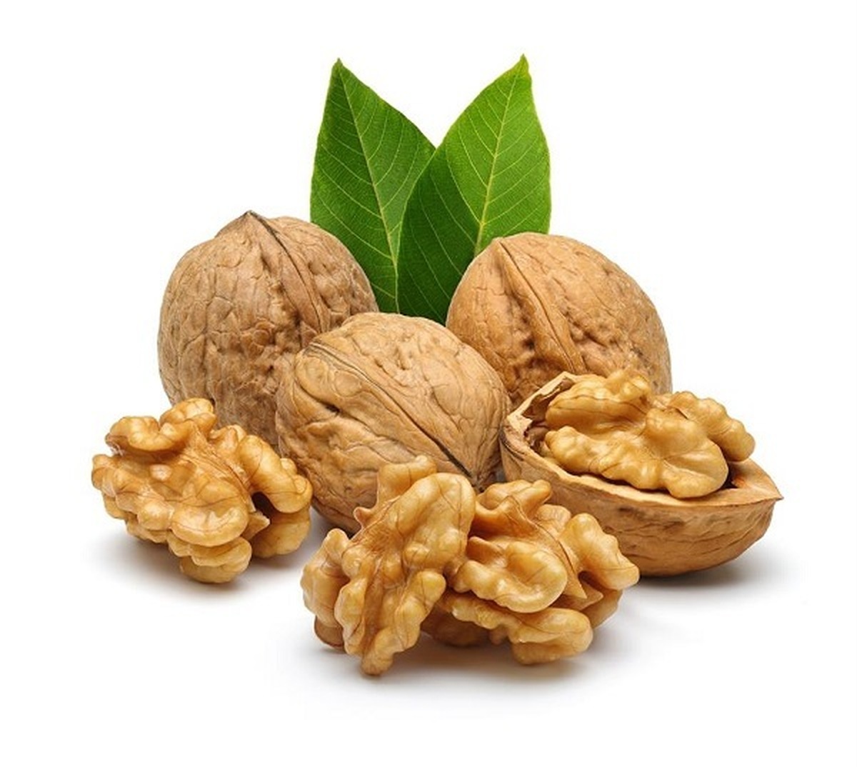 گردو بخورید تا شب راحت خوابتان می‌برد