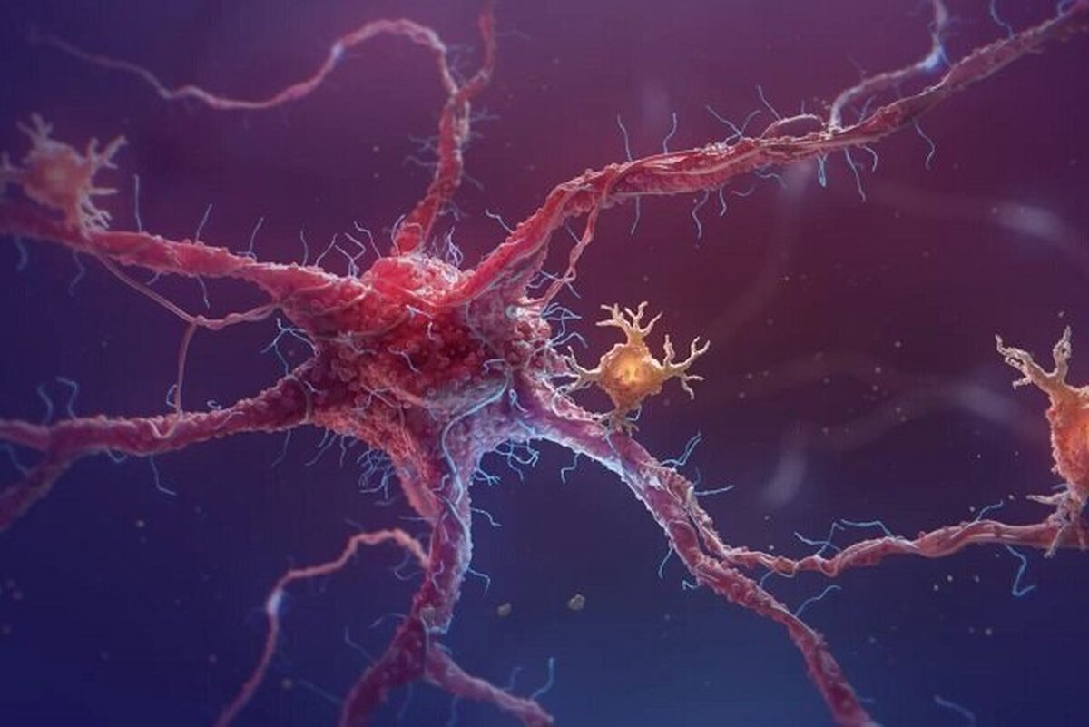 سلول‌های مرموزی که رازهای تازه‌ای از بدن برملا می‌کنند