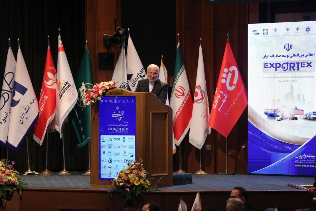 هشدار عضو کمیسیون اقتصادی مجلس به دولت در خصوص واردات کالا