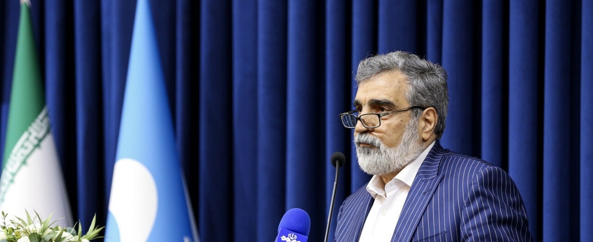 کمالوندی: بازرسان آژانس بر تعویض سوخت نیروگاه اتمی بوشهر نظارت می‌کنند