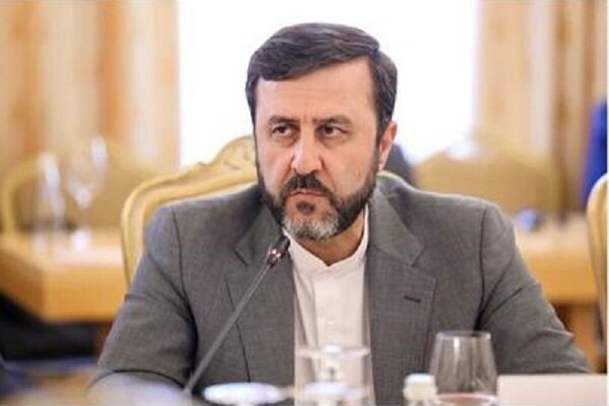 غریب‌آبادی: هیچ مبنای حقوقی برای اروپا در فعال‌سازی اسنپ‌بک وجود ندارد