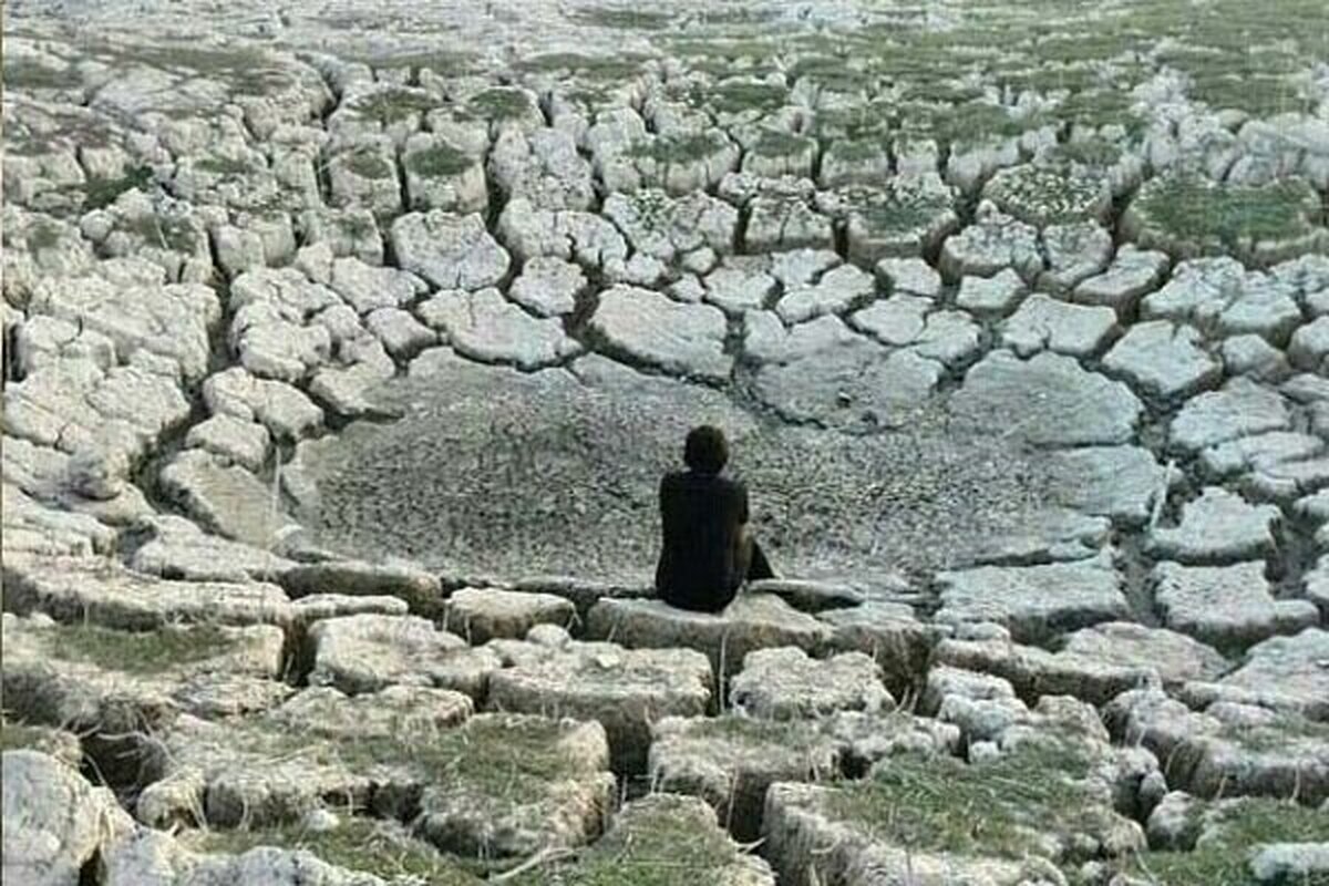 سراب نیلوفر هم خشک شد