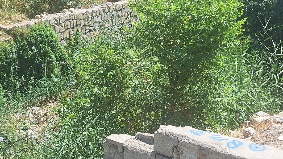 ماجرای ورود آب آلوده به مزارع گچساران و تهدید سلامت مردم