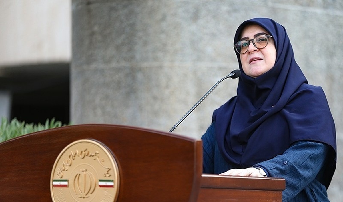 مهاجرانی: واگذاری اختیار به استانداران در حال بررسی است