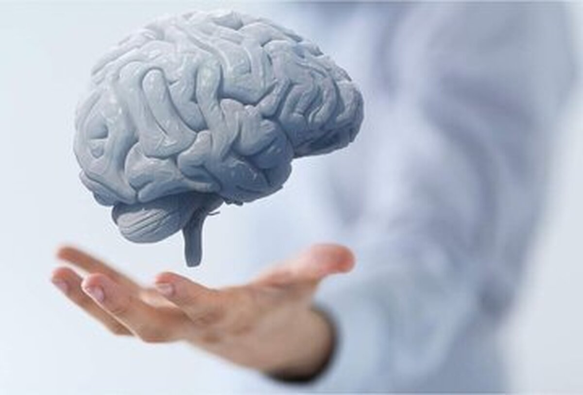 پیری مغز با این عامل به ظاهر ساده تحریک می‌شود