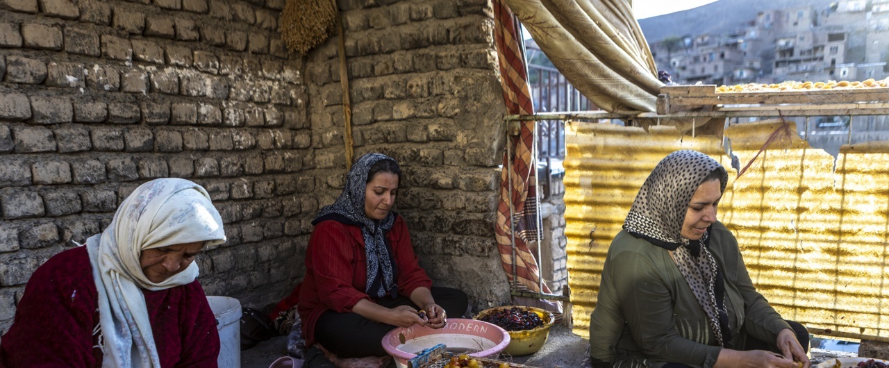 تصاویر/ خُرو؛ پایتخت آلوی ایران