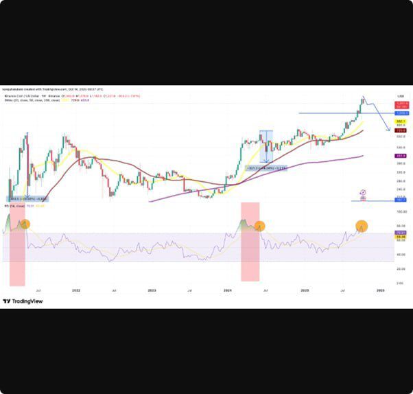 قیمت بایننس کوین ۱۲ درصد کاهش یافت: آیا روند صعودی آن به پایان رسیده است؟