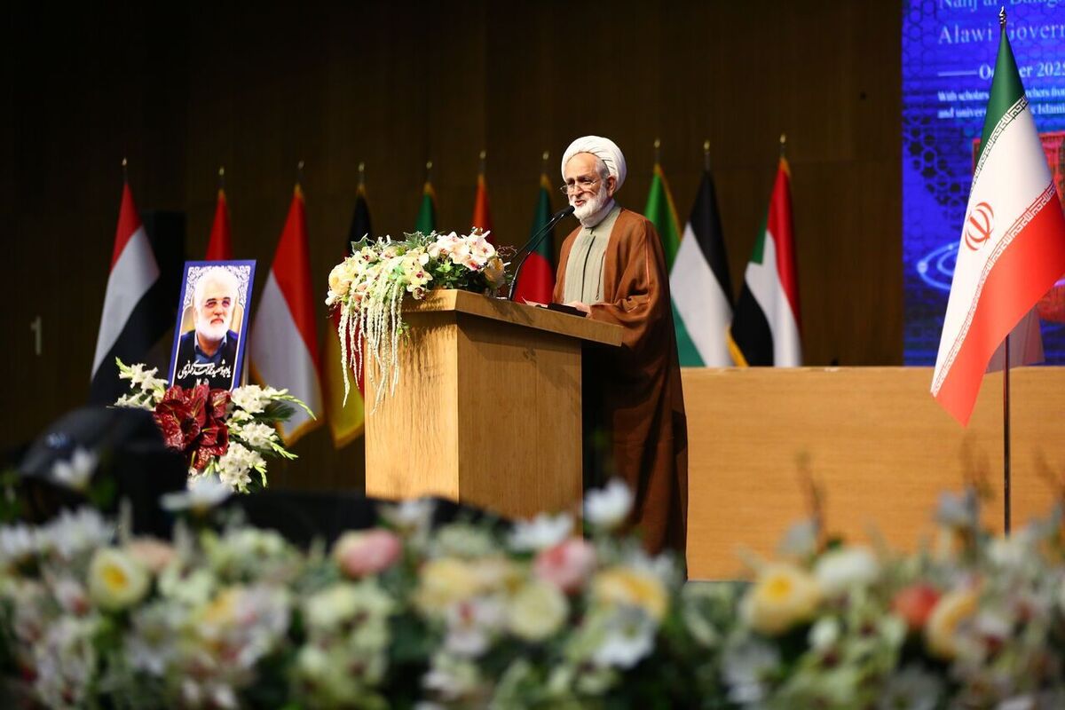 سالک: مواضع رئیس‌جمهور در سازمان ملل، نمونه عملی حکمرانی علوی بود